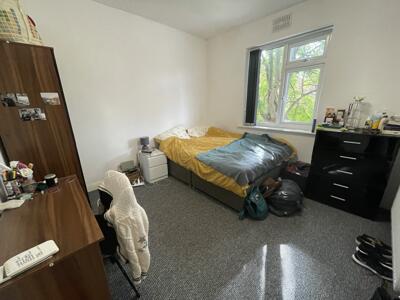 Picture 7